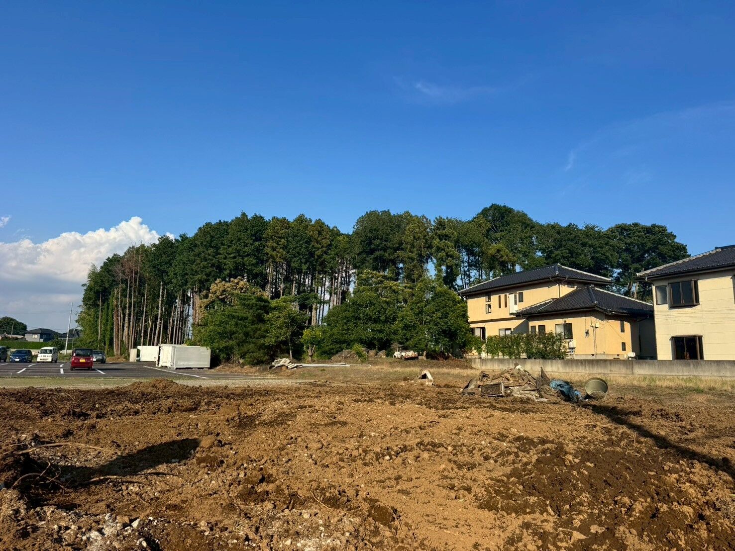 埼玉県竹林伐採・抜根工事