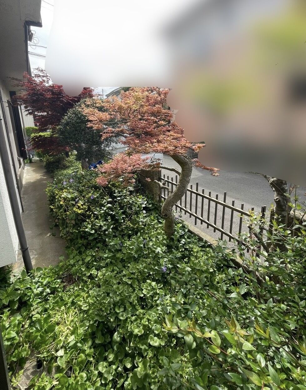 お庭の伐採・草刈