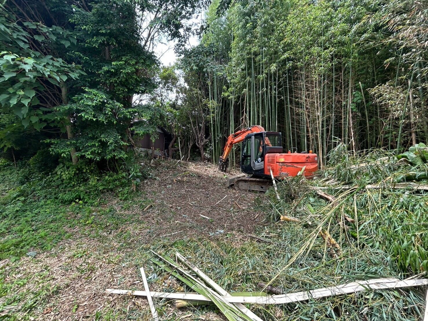 竹林の伐採・抜根工事を施工させていただきました。
