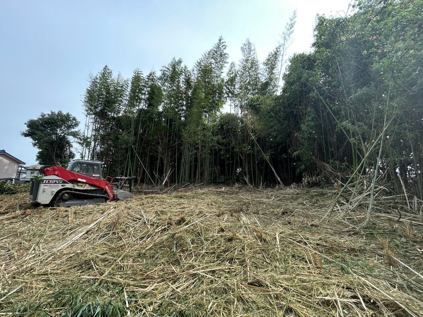 埼玉県竹林伐採・抜根工事