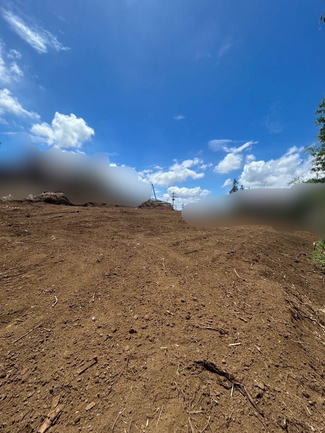 埼玉県竹林伐採・抜根工事